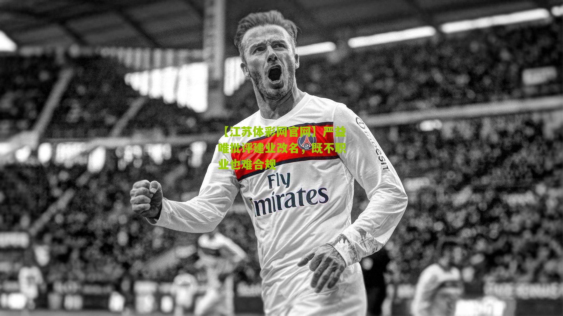 【江苏体彩网官网】严益唯批评建业改名，既不职业也难合规