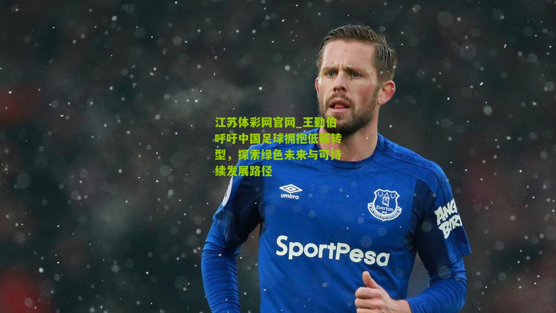 江苏体彩网官网_王勤伯呼吁中国足球拥抱低碳转型，探索绿色未来与可持续发展路径